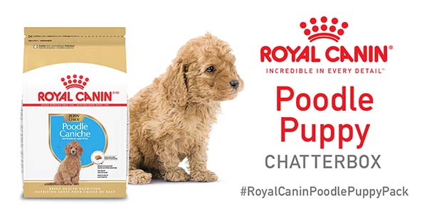 Free Royal Canin® Poodle Puppy Food